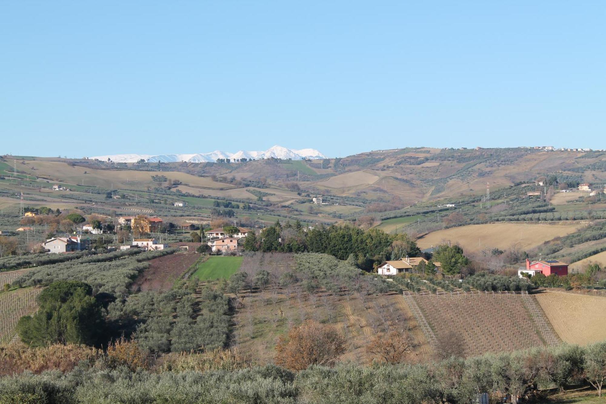 לינה וארוחת בוקר סן סלבו Colline Del Sole מראה חיצוני תמונה
